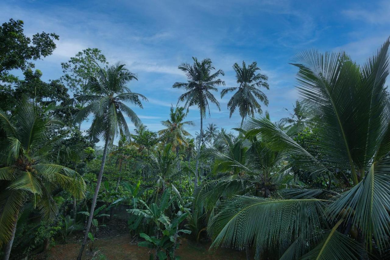 Homejay Residancies Unawatuna Exterior photo